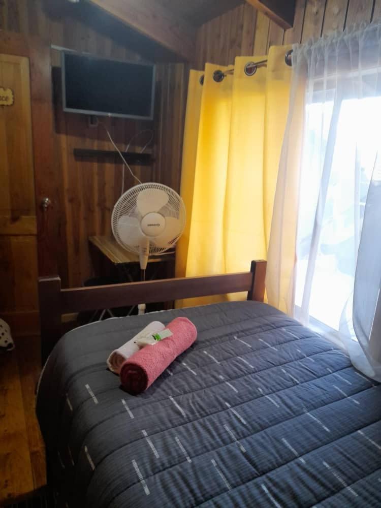 Hostal Newen فيلاريكا المظهر الخارجي الصورة